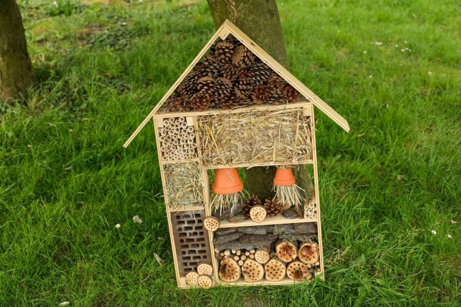 Zdjęcie w galerii na portalu naszraciborz.pl: Pierwsze plony z przedszkolnych warzywników zebrane wiadomości z regionu