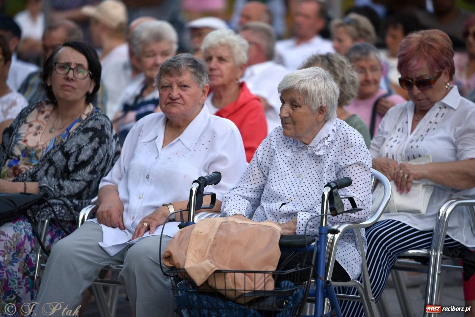 Zdjęcie w galerii na portalu naszraciborz.pl: Orkiestry z RCK-u dały koncert w parku im. Miasta Roth wiadomości z regionu