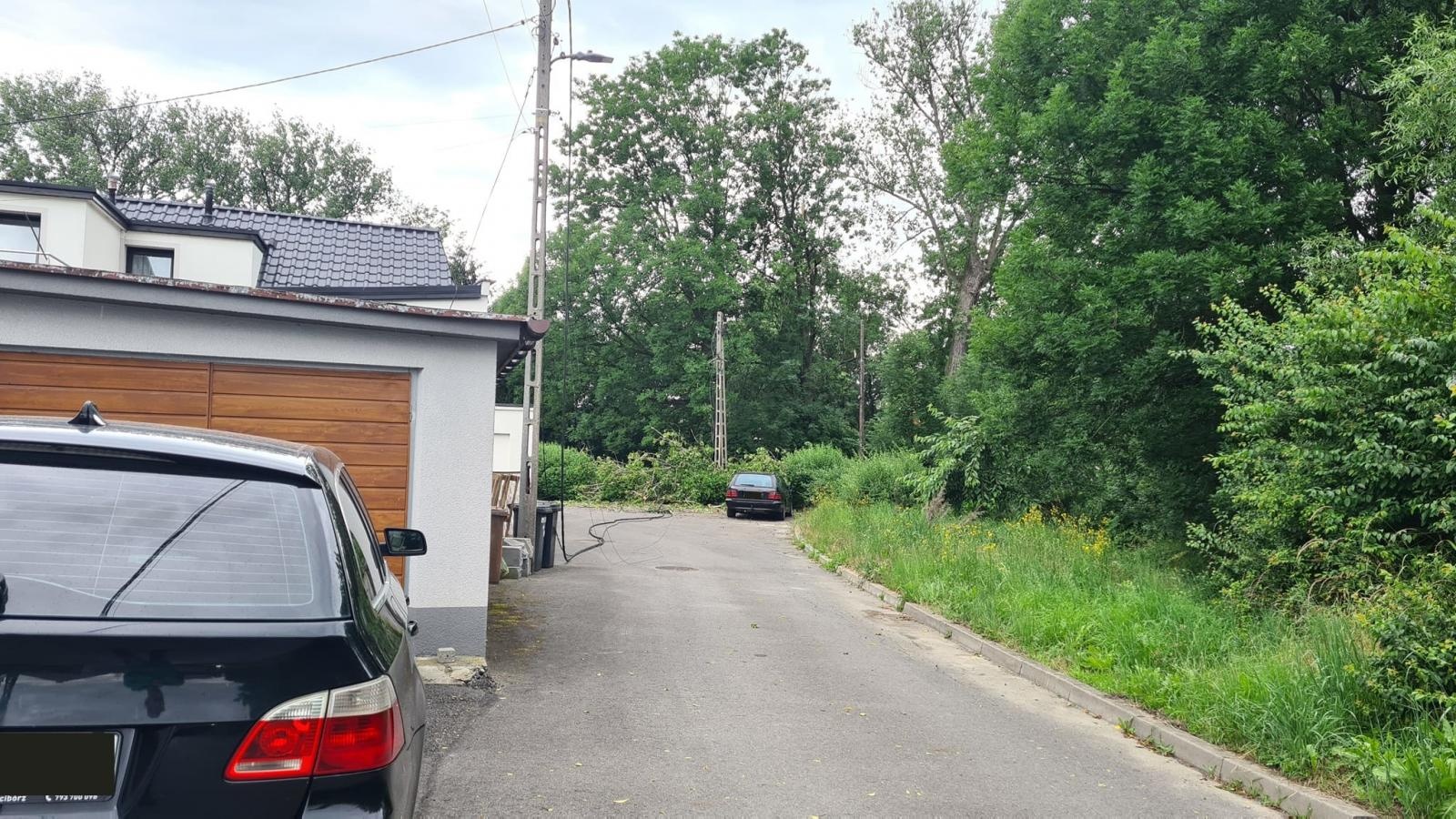 Zdjęcie w galerii na portalu naszraciborz.pl: Drzewo pozbawiło prądu cztery domostwa [FOTO] wiadomości z regionu