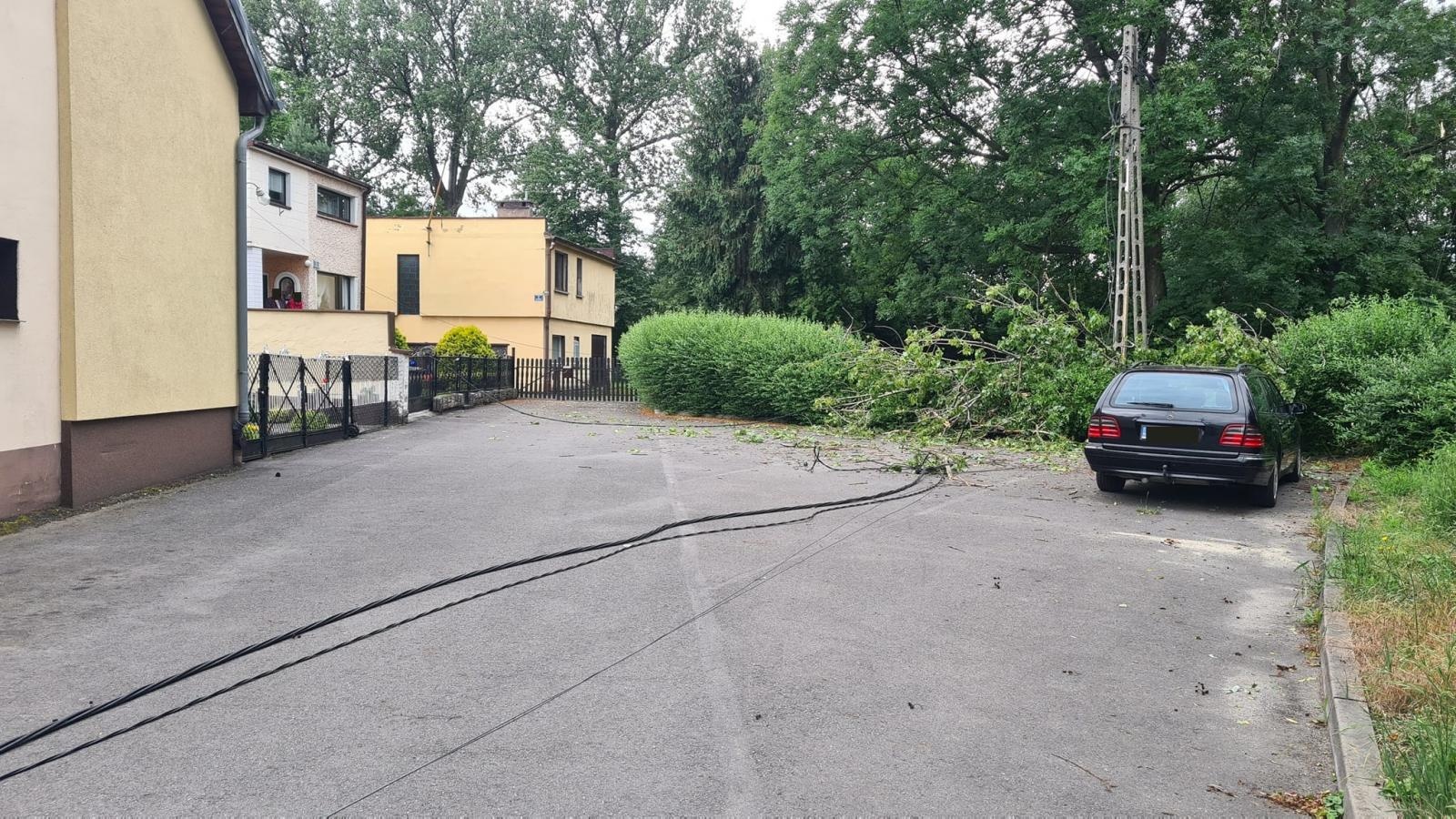 Zdjęcie w galerii na portalu naszraciborz.pl: Drzewo pozbawiło prądu cztery domostwa [FOTO] wiadomości z regionu