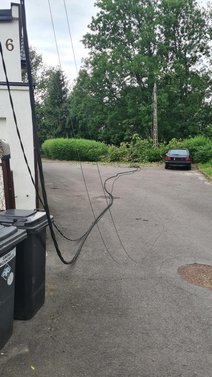 Zdjęcie w galerii na portalu naszraciborz.pl: Drzewo pozbawiło prądu cztery domostwa [FOTO] wiadomości z regionu