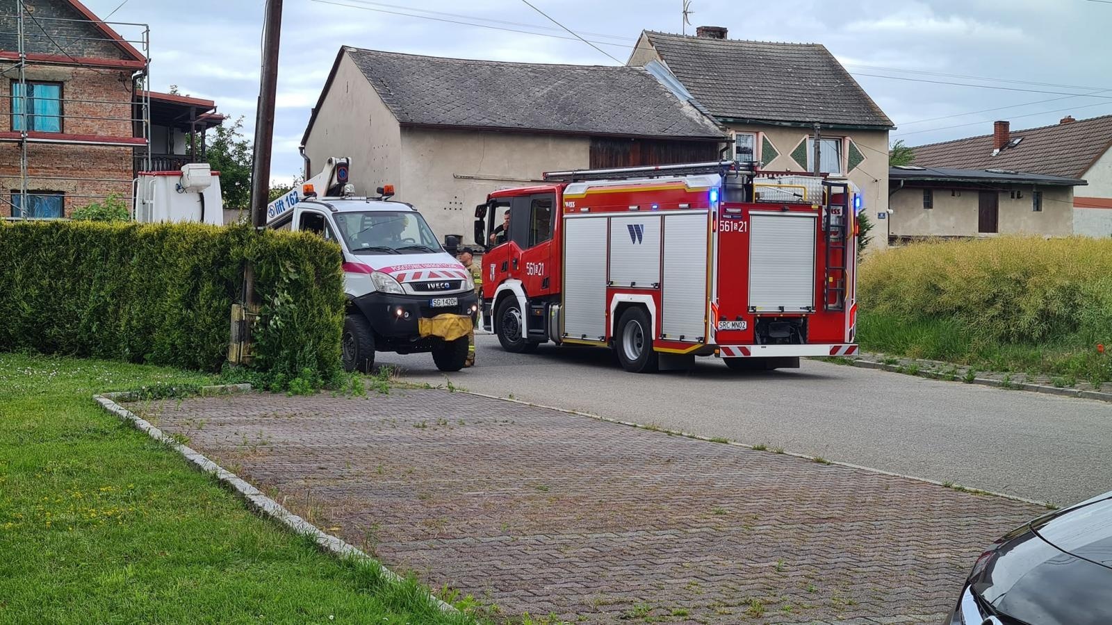 Zdjęcie w galerii na portalu naszraciborz.pl: Drzewo pozbawiło prądu cztery domostwa [FOTO] wiadomości z regionu