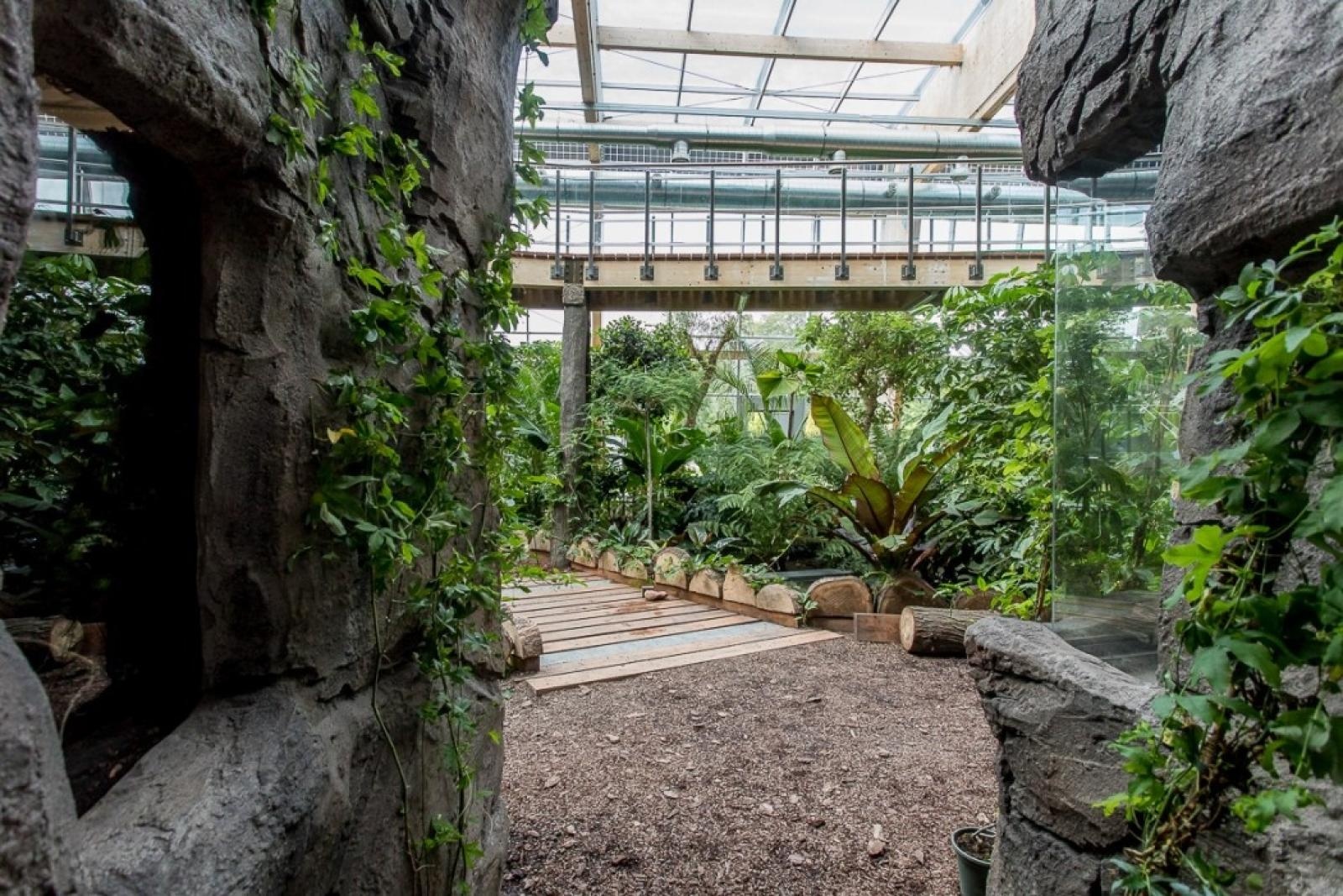 Zdjęcie w galerii na portalu naszraciborz.pl: Powiew egzotyki. Niedaleko Raciborza powstaje las deszczowy wiadomości z regionu