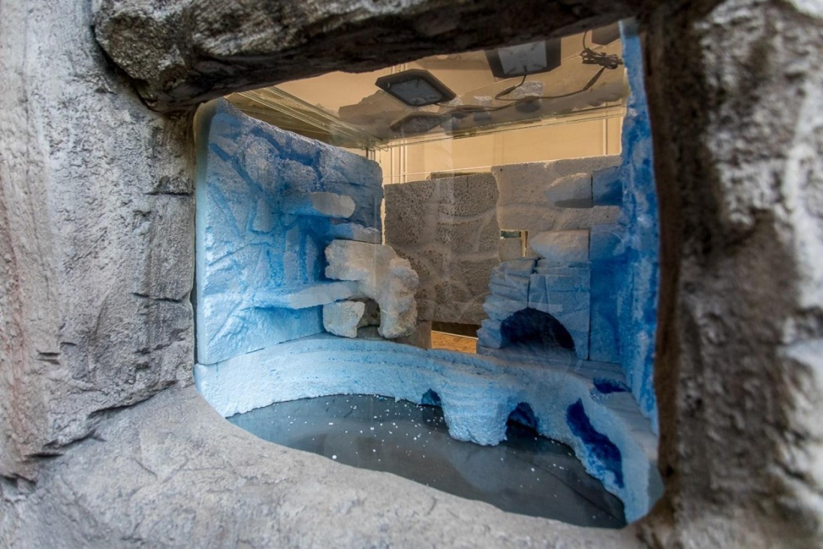 Zdjęcie w galerii na portalu naszraciborz.pl: Powiew egzotyki. Niedaleko Raciborza powstaje las deszczowy wiadomości z regionu