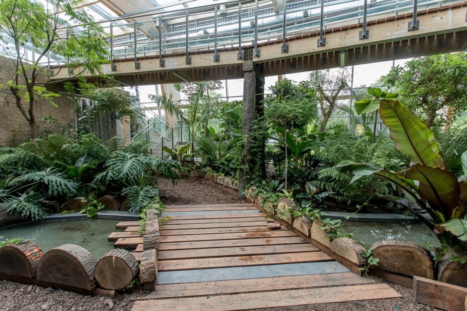 Zdjęcie w galerii na portalu naszraciborz.pl: Powiew egzotyki. Niedaleko Raciborza powstaje las deszczowy wiadomości z regionu