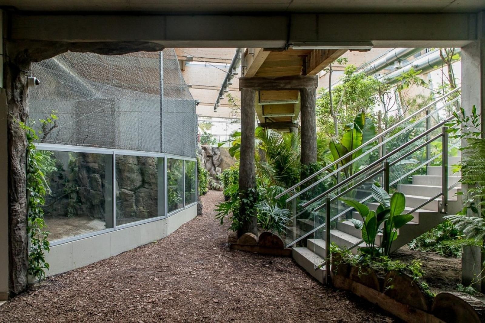 Zdjęcie w galerii na portalu naszraciborz.pl: Powiew egzotyki. Niedaleko Raciborza powstaje las deszczowy wiadomości z regionu