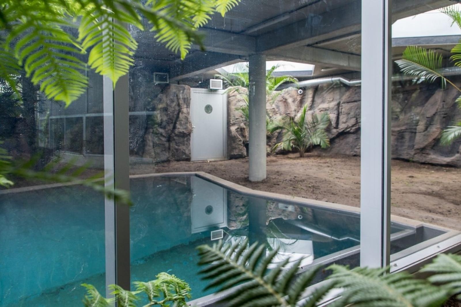 Zdjęcie w galerii na portalu naszraciborz.pl: Powiew egzotyki. Niedaleko Raciborza powstaje las deszczowy wiadomości z regionu