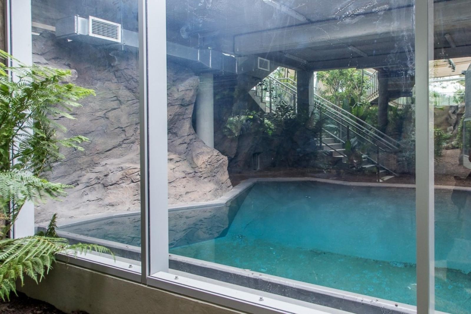 Zdjęcie w galerii na portalu naszraciborz.pl: Powiew egzotyki. Niedaleko Raciborza powstaje las deszczowy wiadomości z regionu