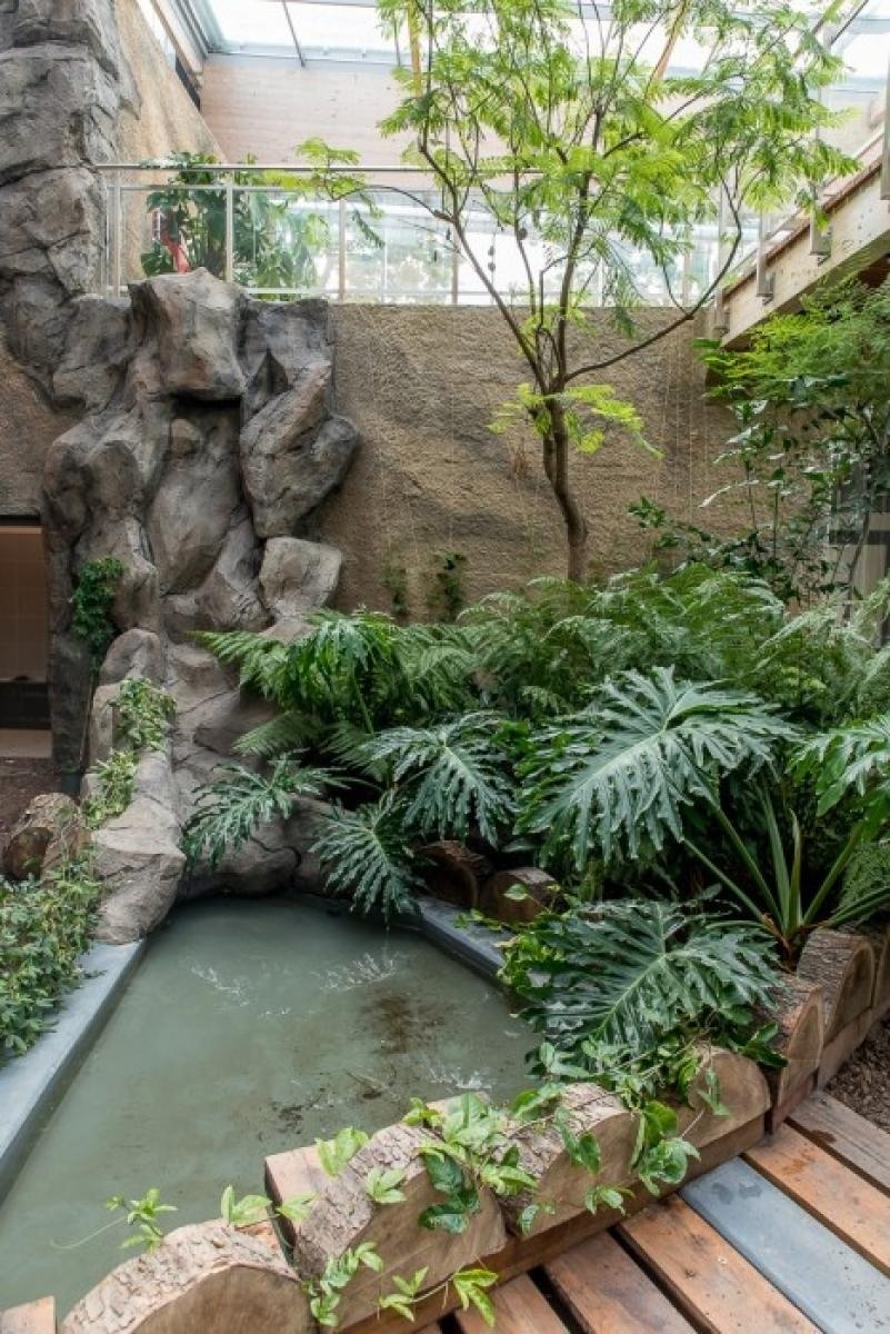 Zdjęcie w galerii na portalu naszraciborz.pl: Powiew egzotyki. Niedaleko Raciborza powstaje las deszczowy wiadomości z regionu