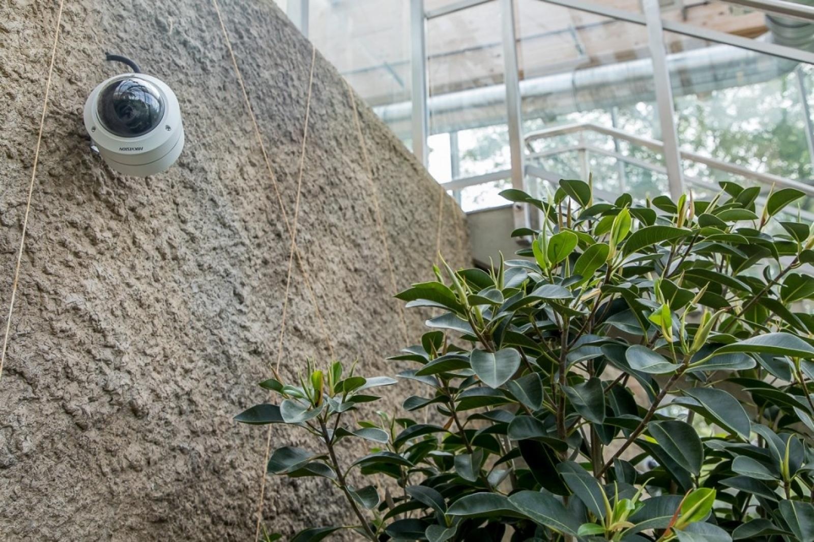 Zdjęcie w galerii na portalu naszraciborz.pl: Powiew egzotyki. Niedaleko Raciborza powstaje las deszczowy wiadomości z regionu