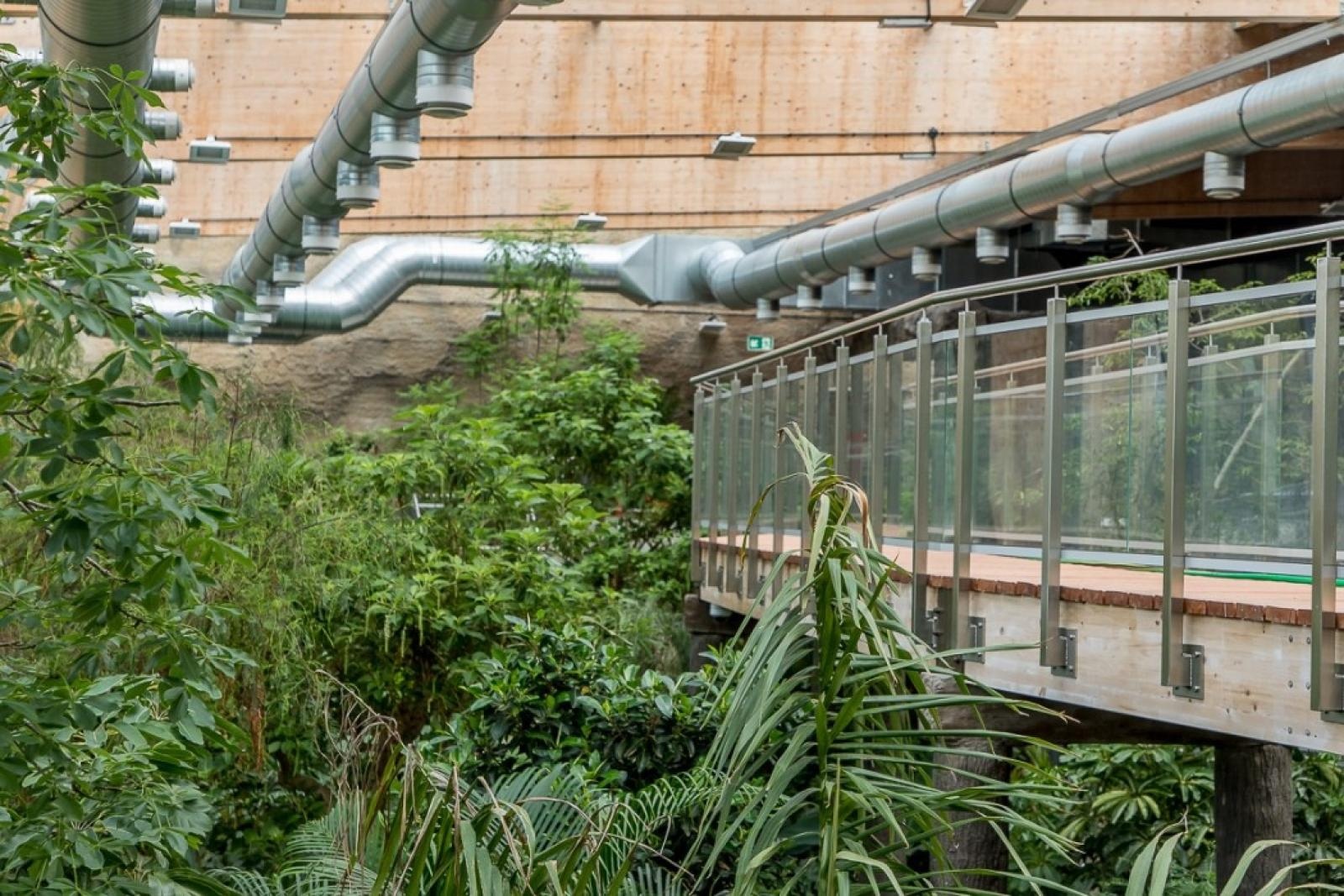 Zdjęcie w galerii na portalu naszraciborz.pl: Powiew egzotyki. Niedaleko Raciborza powstaje las deszczowy wiadomości z regionu