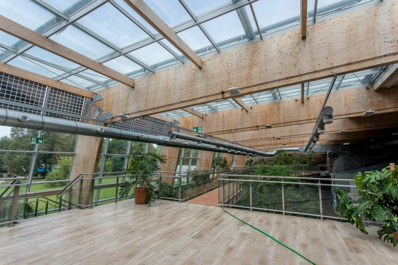 Zdjęcie w galerii na portalu naszraciborz.pl: Powiew egzotyki. Niedaleko Raciborza powstaje las deszczowy wiadomości z regionu