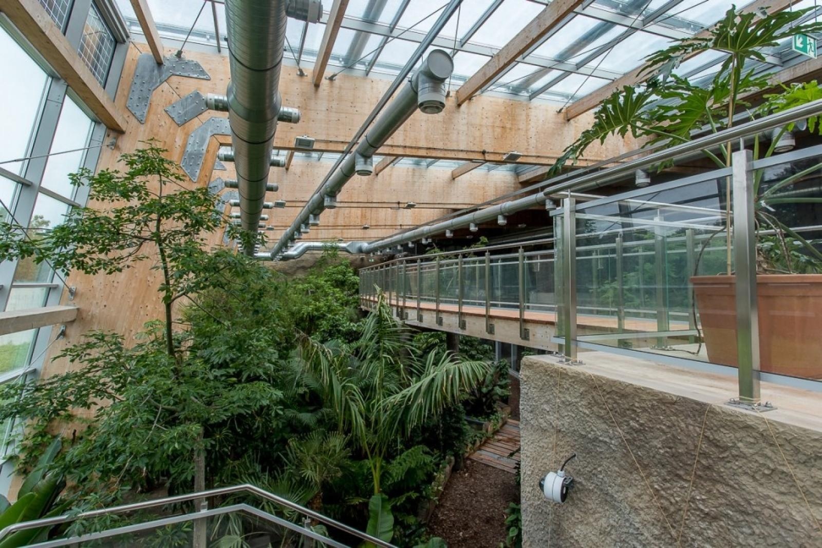 Zdjęcie w galerii na portalu naszraciborz.pl: Powiew egzotyki. Niedaleko Raciborza powstaje las deszczowy wiadomości z regionu