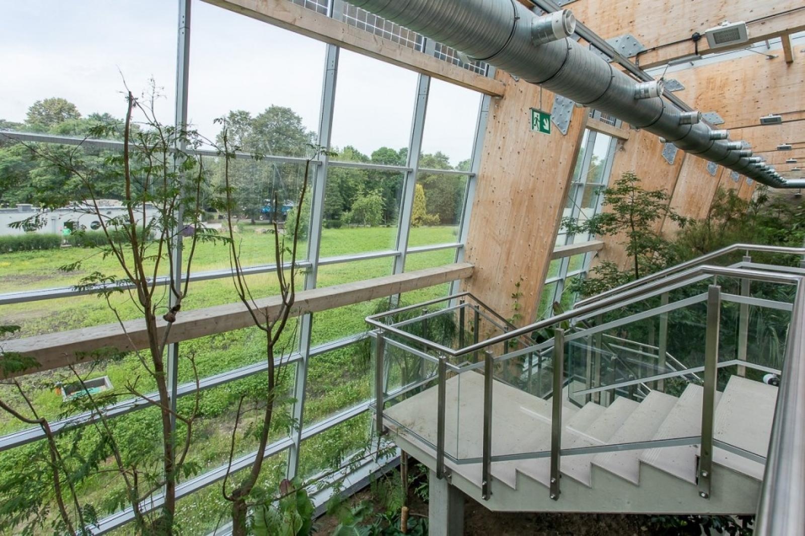 Zdjęcie w galerii na portalu naszraciborz.pl: Powiew egzotyki. Niedaleko Raciborza powstaje las deszczowy wiadomości z regionu