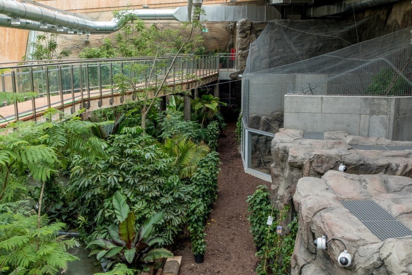 Zdjęcie w galerii na portalu naszraciborz.pl: Powiew egzotyki. Niedaleko Raciborza powstaje las deszczowy wiadomości z regionu