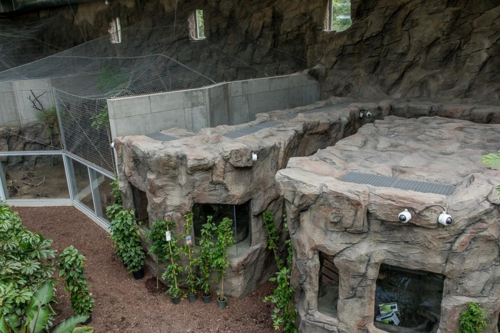 Zdjęcie w galerii na portalu naszraciborz.pl: Powiew egzotyki. Niedaleko Raciborza powstaje las deszczowy wiadomości z regionu