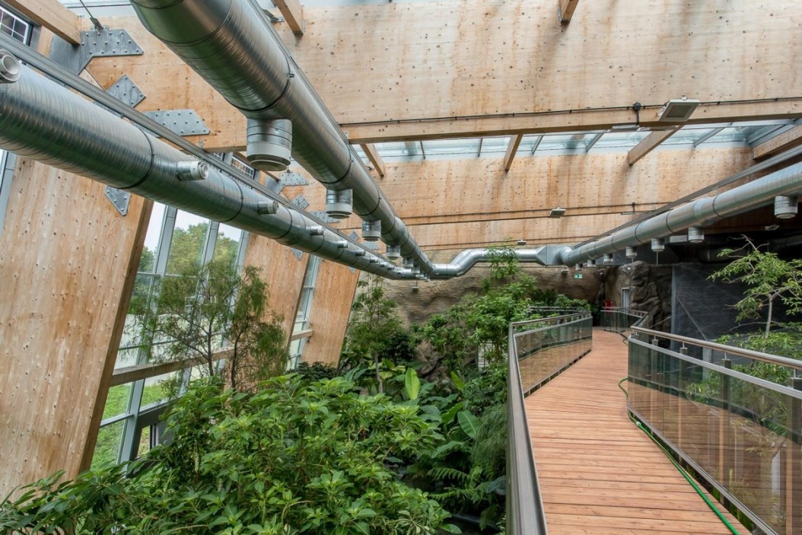 Zdjęcie w galerii na portalu naszraciborz.pl: Powiew egzotyki. Niedaleko Raciborza powstaje las deszczowy wiadomości z regionu