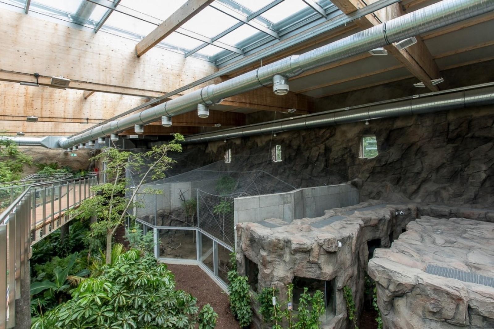 Zdjęcie w galerii na portalu naszraciborz.pl: Powiew egzotyki. Niedaleko Raciborza powstaje las deszczowy wiadomości z regionu