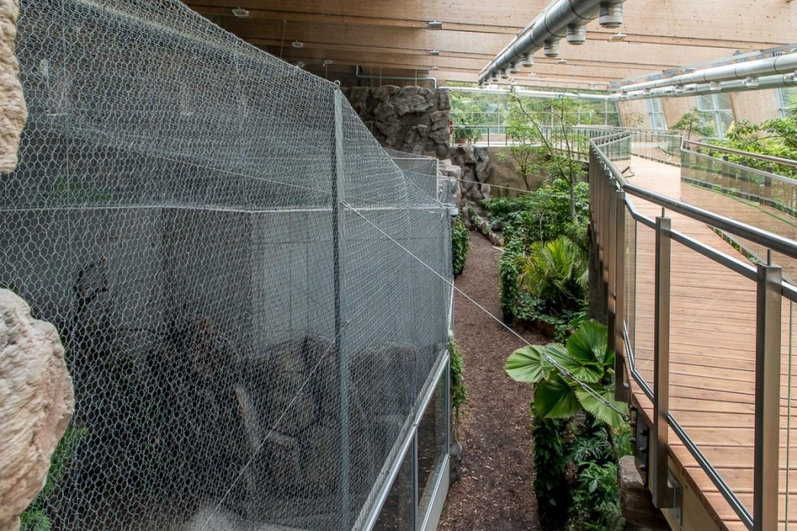 Zdjęcie w galerii na portalu naszraciborz.pl: Powiew egzotyki. Niedaleko Raciborza powstaje las deszczowy wiadomości z regionu