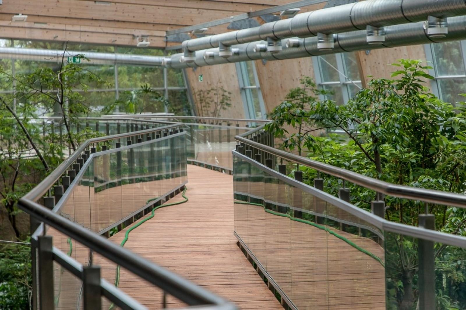 Zdjęcie w galerii na portalu naszraciborz.pl: Powiew egzotyki. Niedaleko Raciborza powstaje las deszczowy wiadomości z regionu