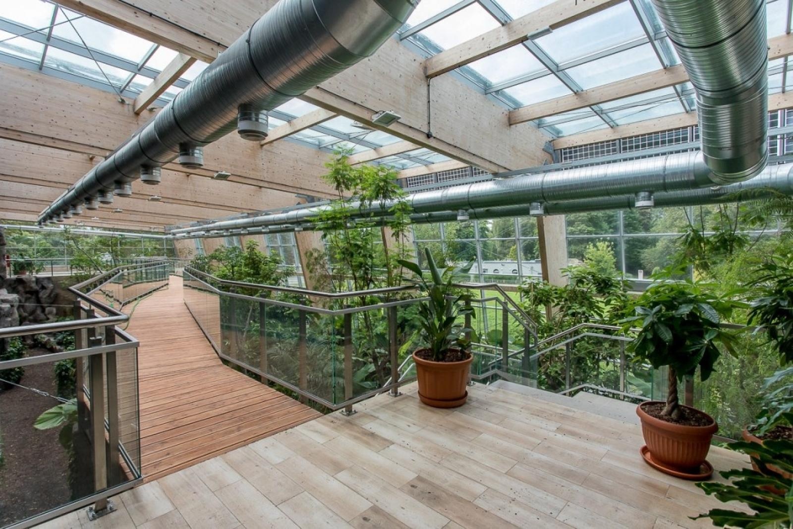 Zdjęcie w galerii na portalu naszraciborz.pl: Powiew egzotyki. Niedaleko Raciborza powstaje las deszczowy wiadomości z regionu