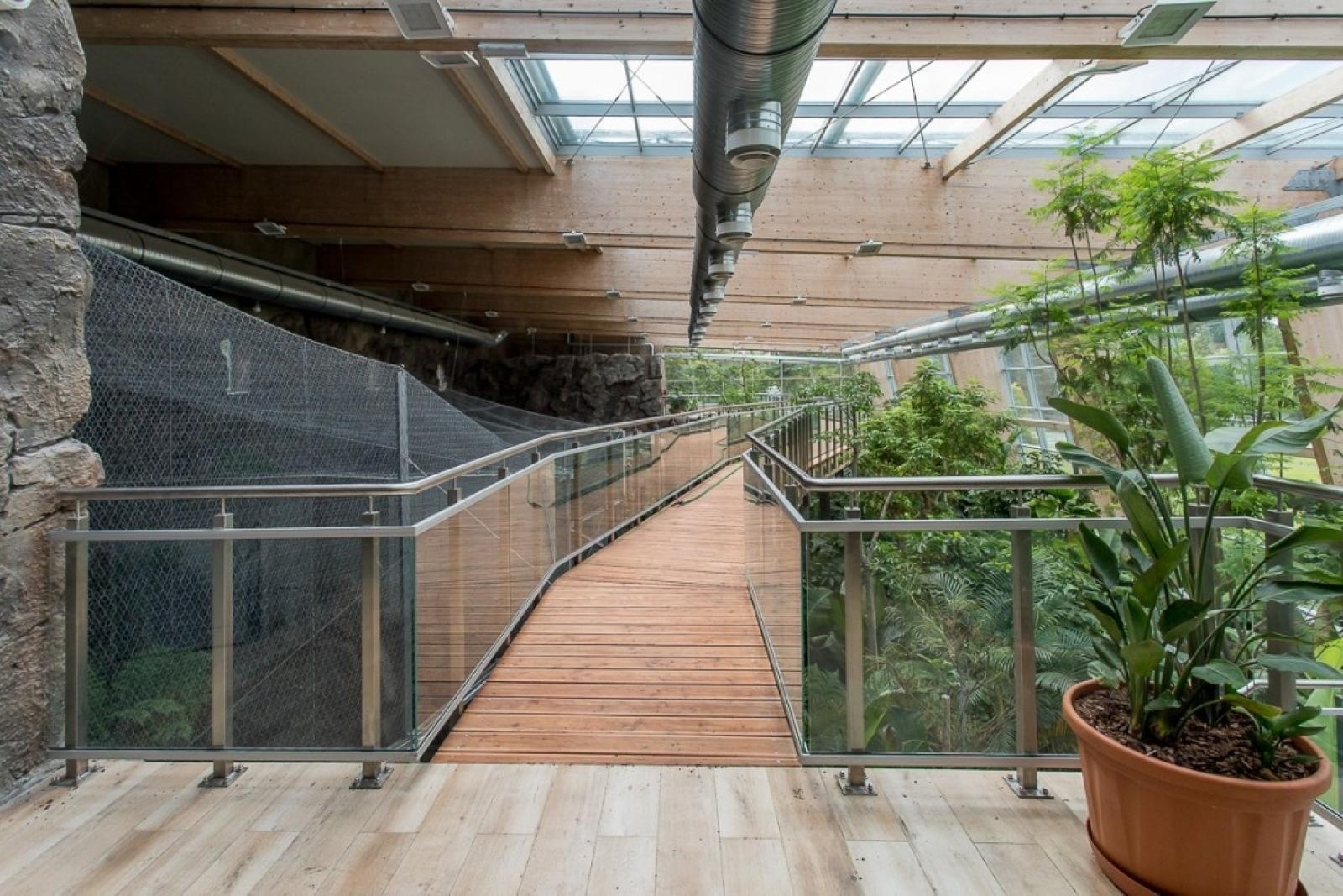 Zdjęcie w galerii na portalu naszraciborz.pl: Powiew egzotyki. Niedaleko Raciborza powstaje las deszczowy wiadomości z regionu