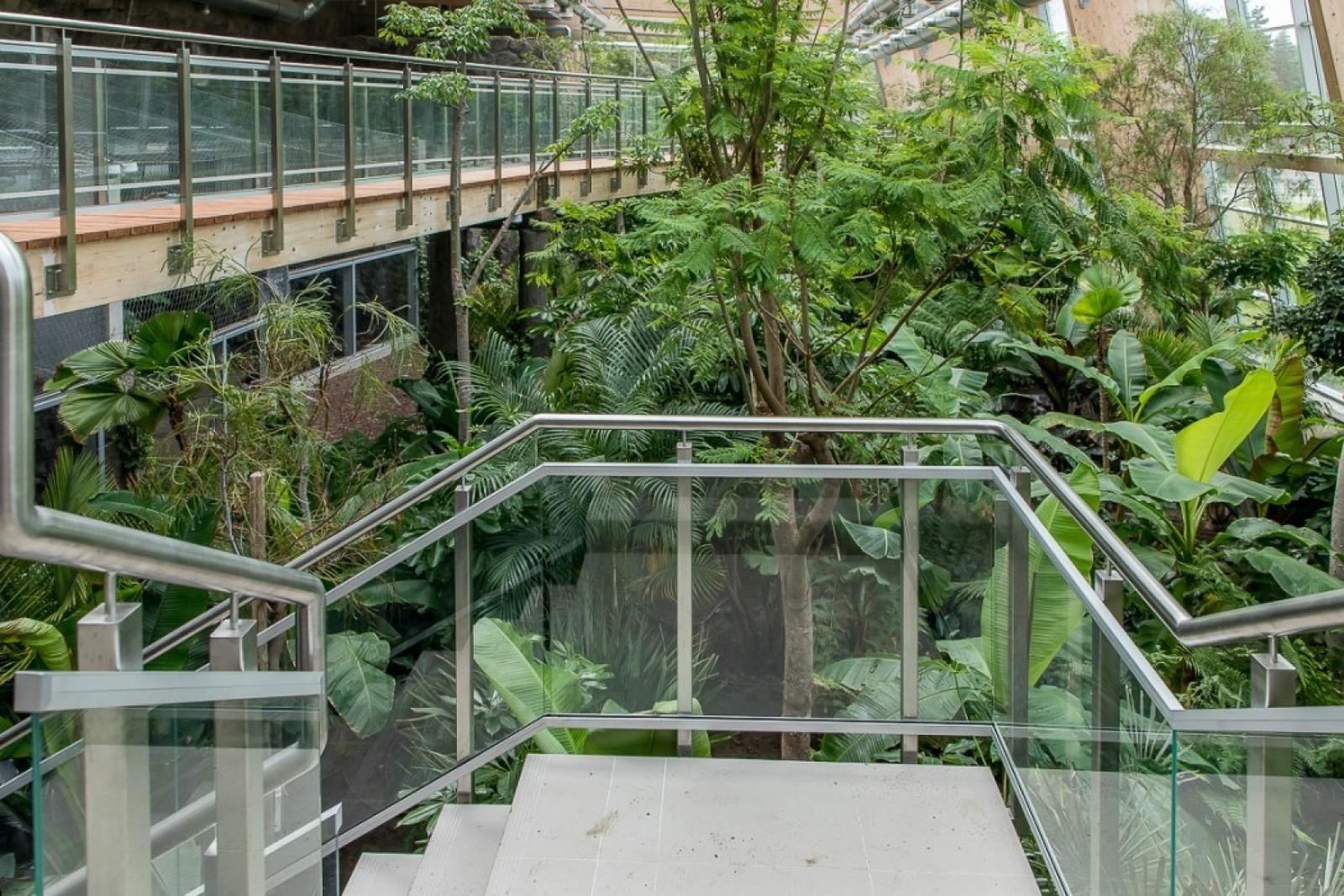 Zdjęcie w galerii na portalu naszraciborz.pl: Powiew egzotyki. Niedaleko Raciborza powstaje las deszczowy wiadomości z regionu