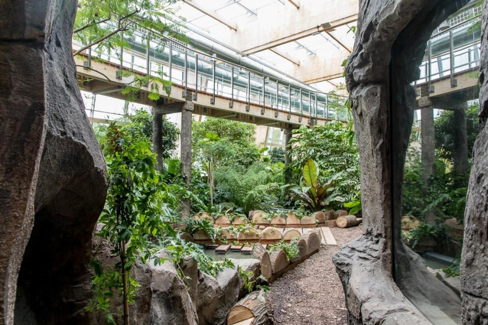 Zdjęcie w galerii na portalu naszraciborz.pl: Powiew egzotyki. Niedaleko Raciborza powstaje las deszczowy wiadomości z regionu