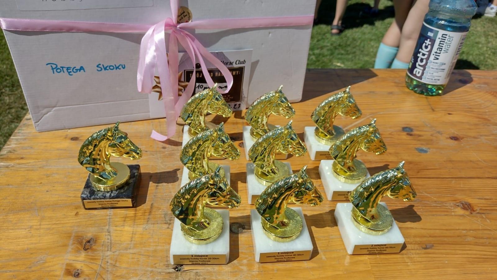 Zdjęcie w galerii na portalu naszraciborz.pl: W Pietrowicach Wielkich jak na Dzikim Zachodzie. Piknik country [FOTO i WIDEO] wiadomości z regionu