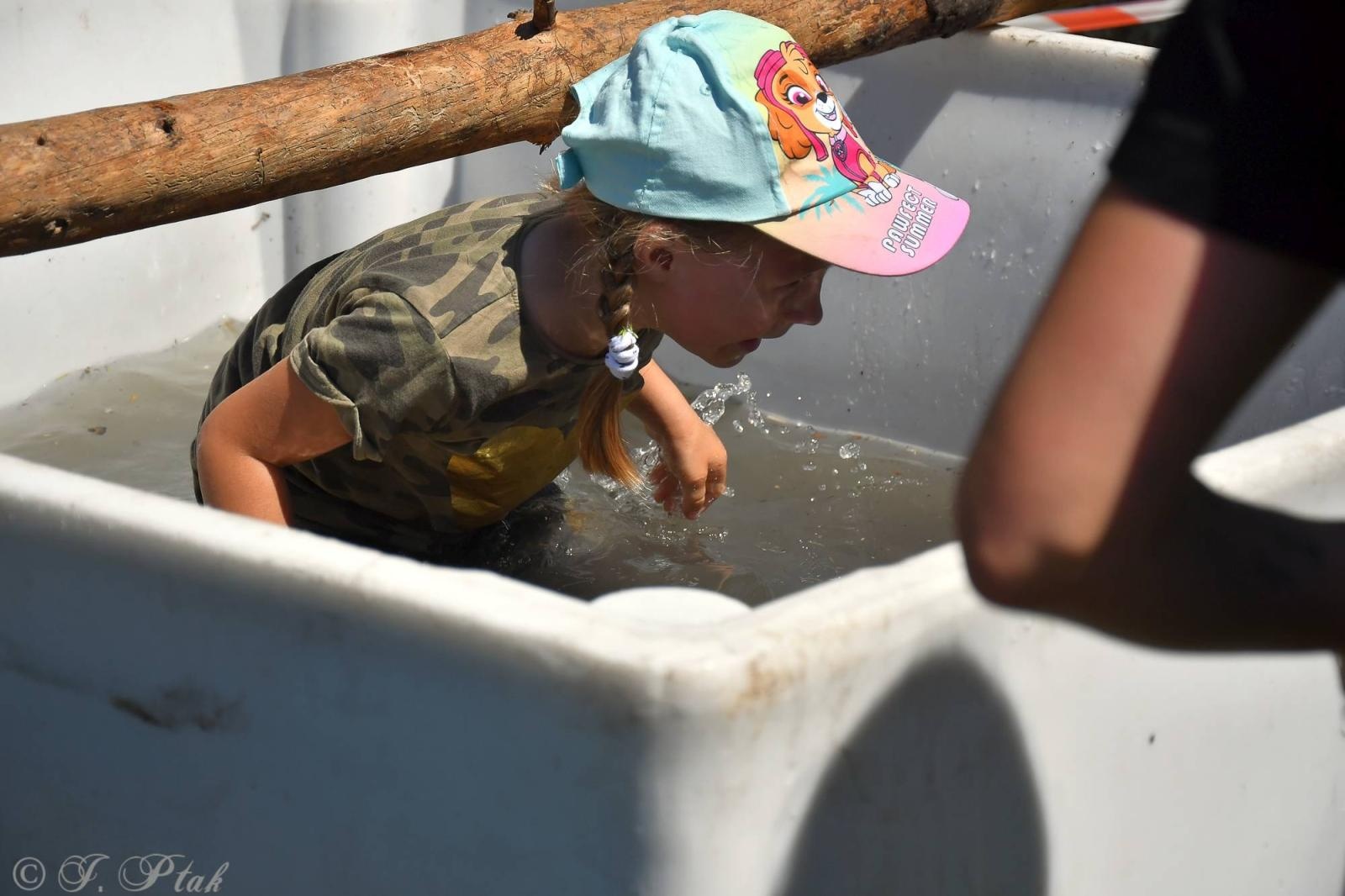 Zdjęcie w galerii na portalu naszraciborz.pl: Bieg Zwiadowców w raciborskim lesie Obora wiadomości z regionu