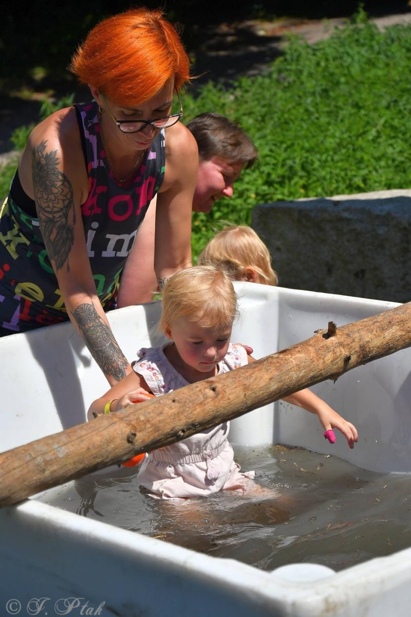 Zdjęcie w galerii na portalu naszraciborz.pl: Bieg Zwiadowców w raciborskim lesie Obora wiadomości z regionu