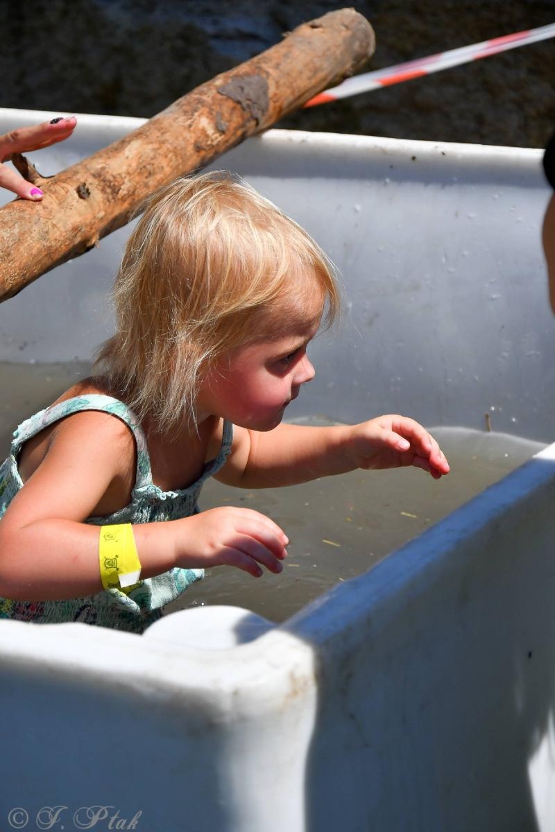 Zdjęcie w galerii na portalu naszraciborz.pl: Bieg Zwiadowców w raciborskim lesie Obora wiadomości z regionu