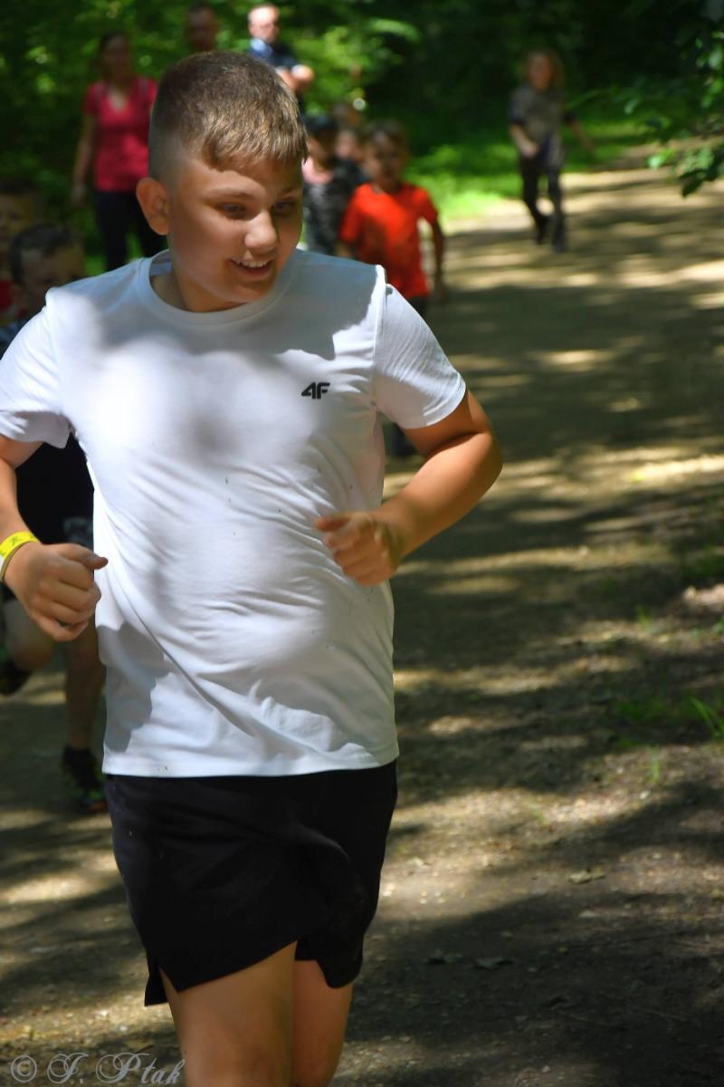 Zdjęcie w galerii na portalu naszraciborz.pl: Bieg Zwiadowców w raciborskim lesie Obora wiadomości z regionu