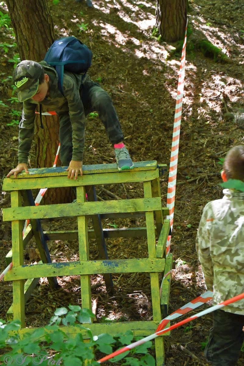 Zdjęcie w galerii na portalu naszraciborz.pl: Bieg Zwiadowców w raciborskim lesie Obora wiadomości z regionu