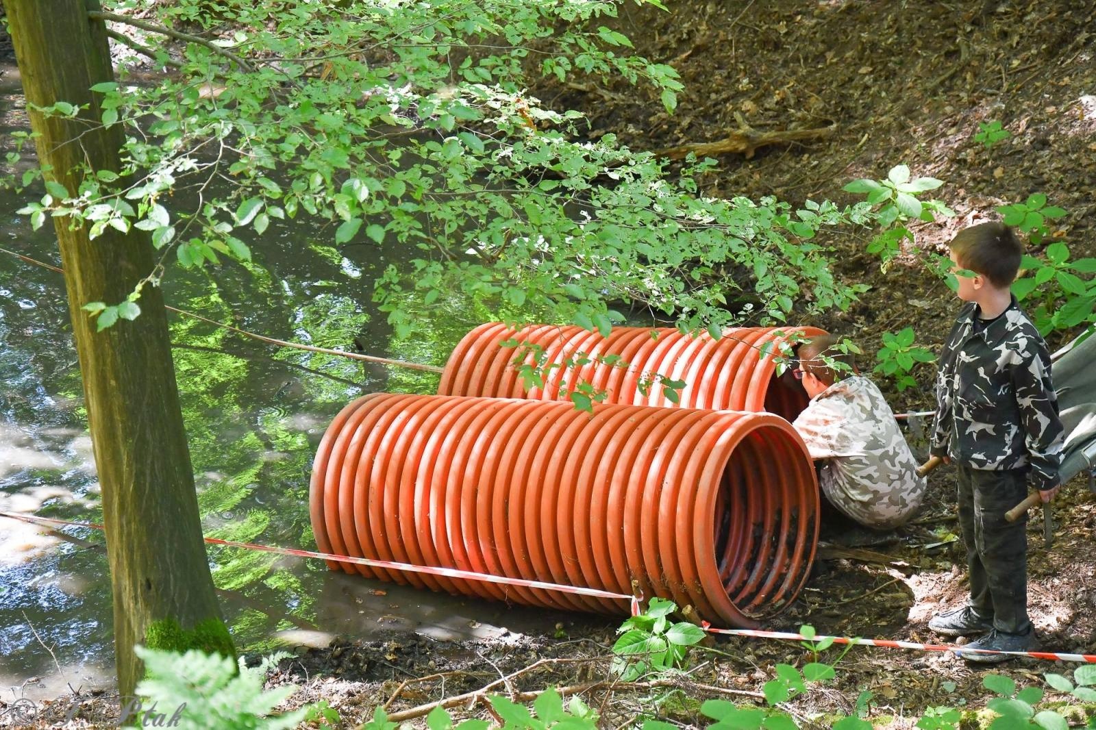 Zdjęcie w galerii na portalu naszraciborz.pl: Bieg Zwiadowców w raciborskim lesie Obora wiadomości z regionu