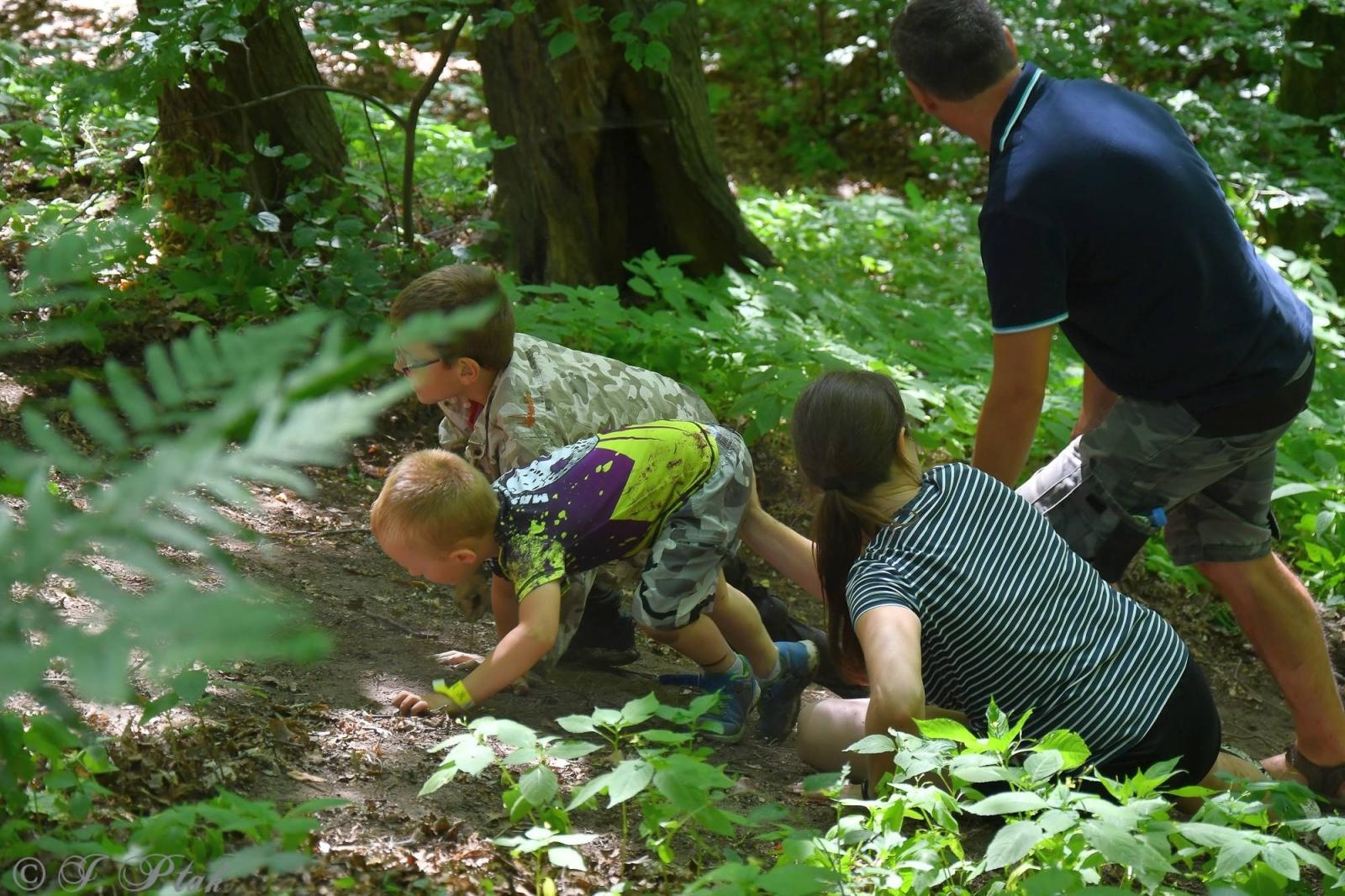 Zdjęcie w galerii na portalu naszraciborz.pl: Bieg Zwiadowców w raciborskim lesie Obora wiadomości z regionu