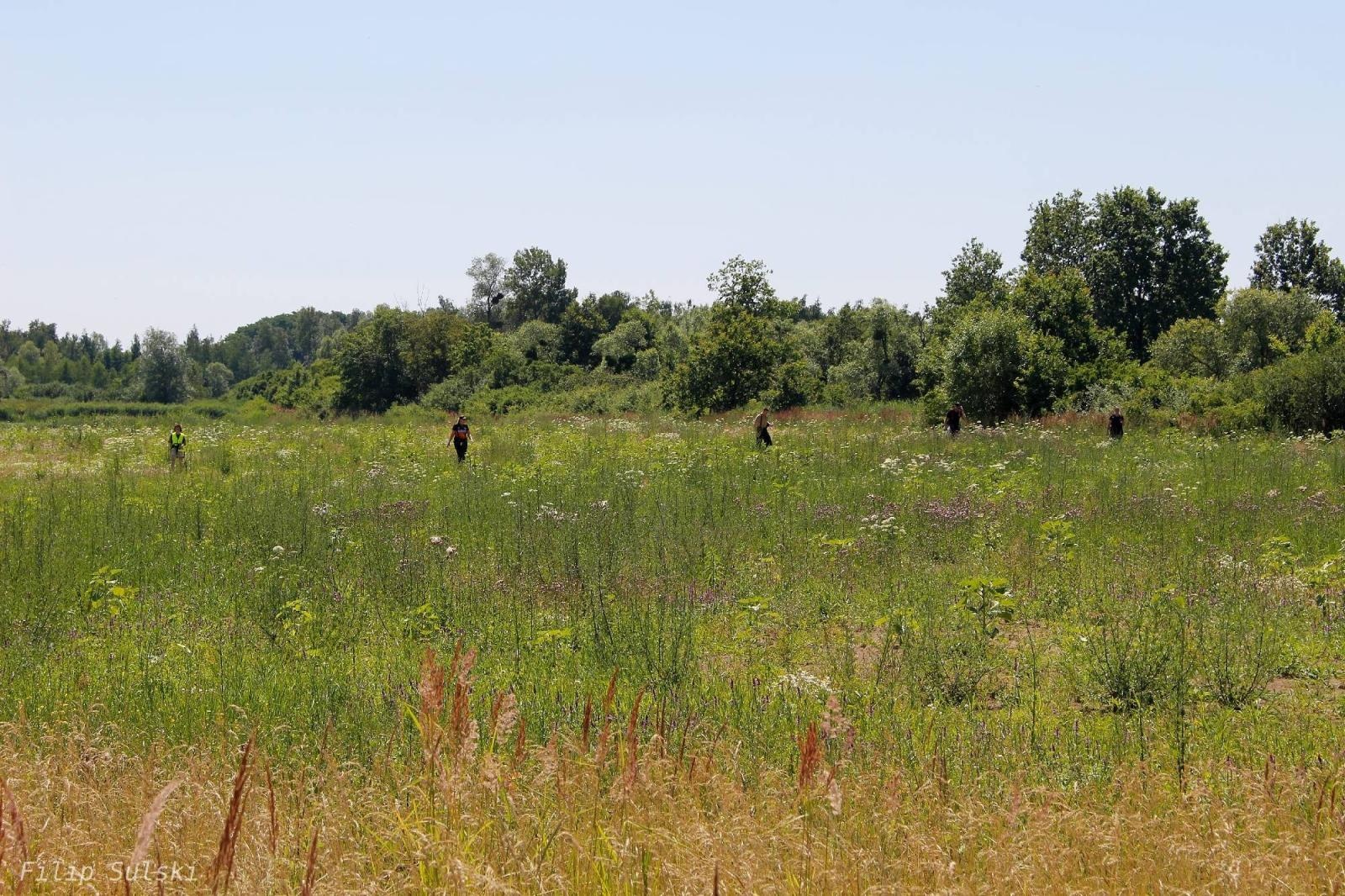 Zdjęcie w galerii na portalu naszraciborz.pl: Grupa poszukiwawczo-ratownicza z Knurowa i strażacy naszych OSP szukali na zbiorniku chorego wędkarza wiadomości z regionu