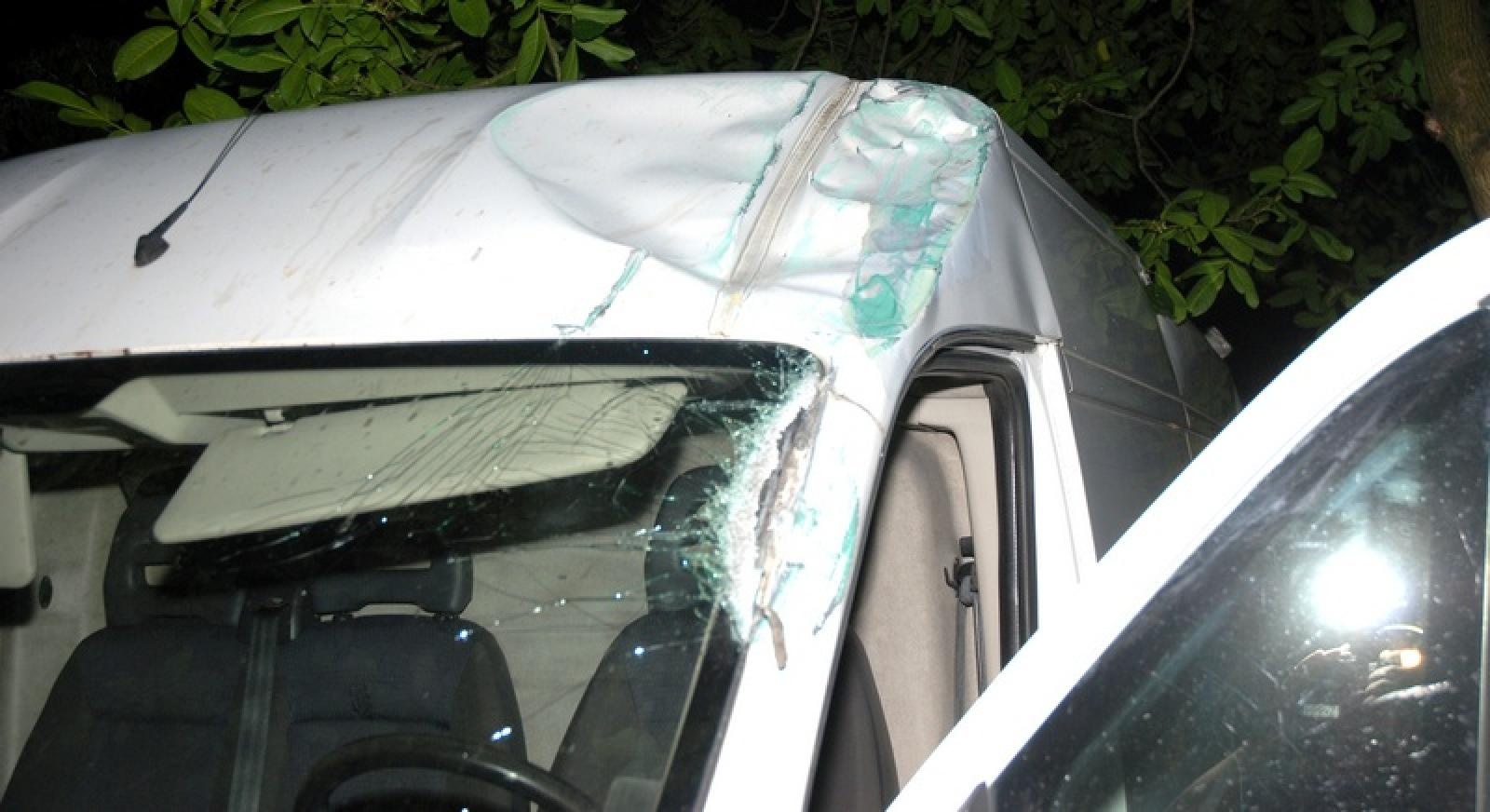 Zdjęcie w galerii na portalu naszraciborz.pl: Presja migracyjna na szlaku bałkańskim rośnie. Śląska Straż Graniczna z Raciborza pokazała film z zatrzymania emigrantów z Syrii wiadomości z regionu