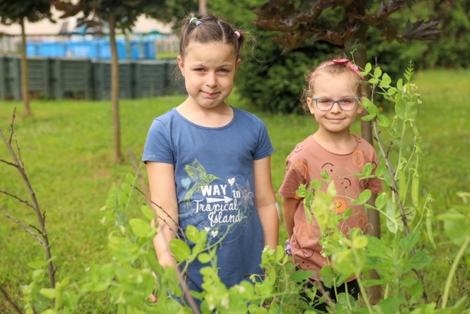 Zdjęcie w galerii na portalu naszraciborz.pl: Raciborskie przedszkolaki jedzą warzywa z własnego ogródka wiadomości z regionu