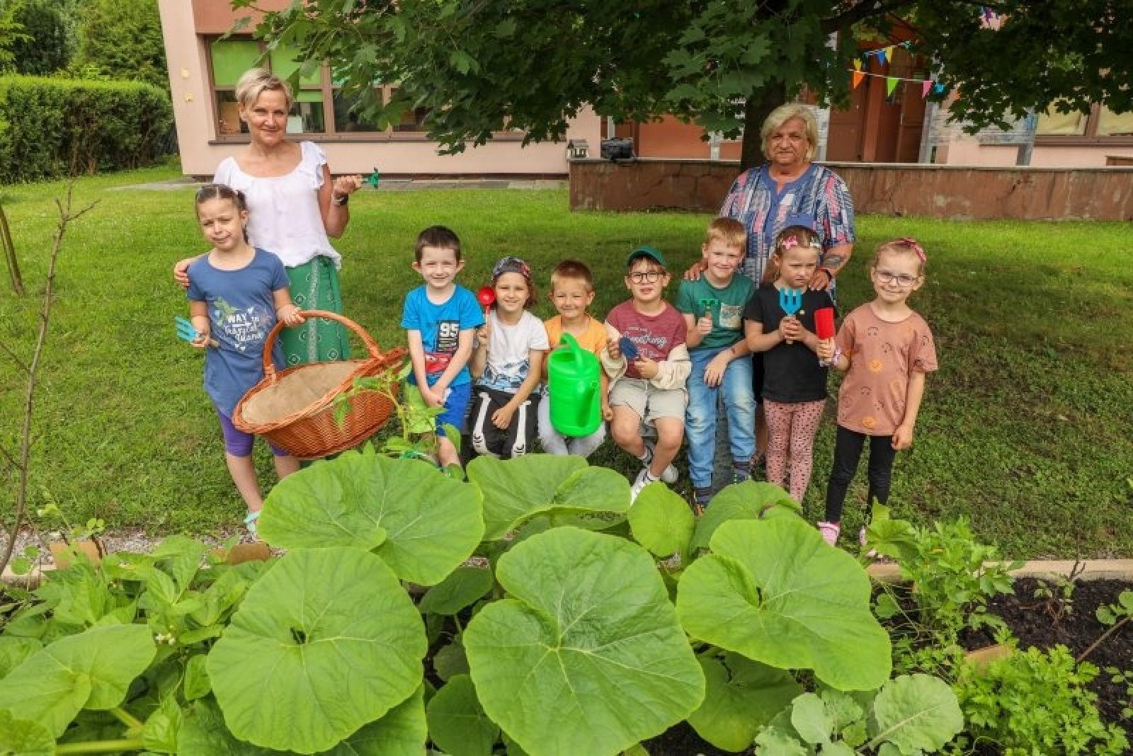 Zdjęcie w galerii na portalu naszraciborz.pl: Raciborskie przedszkolaki jedzą warzywa z własnego ogródka wiadomości z regionu