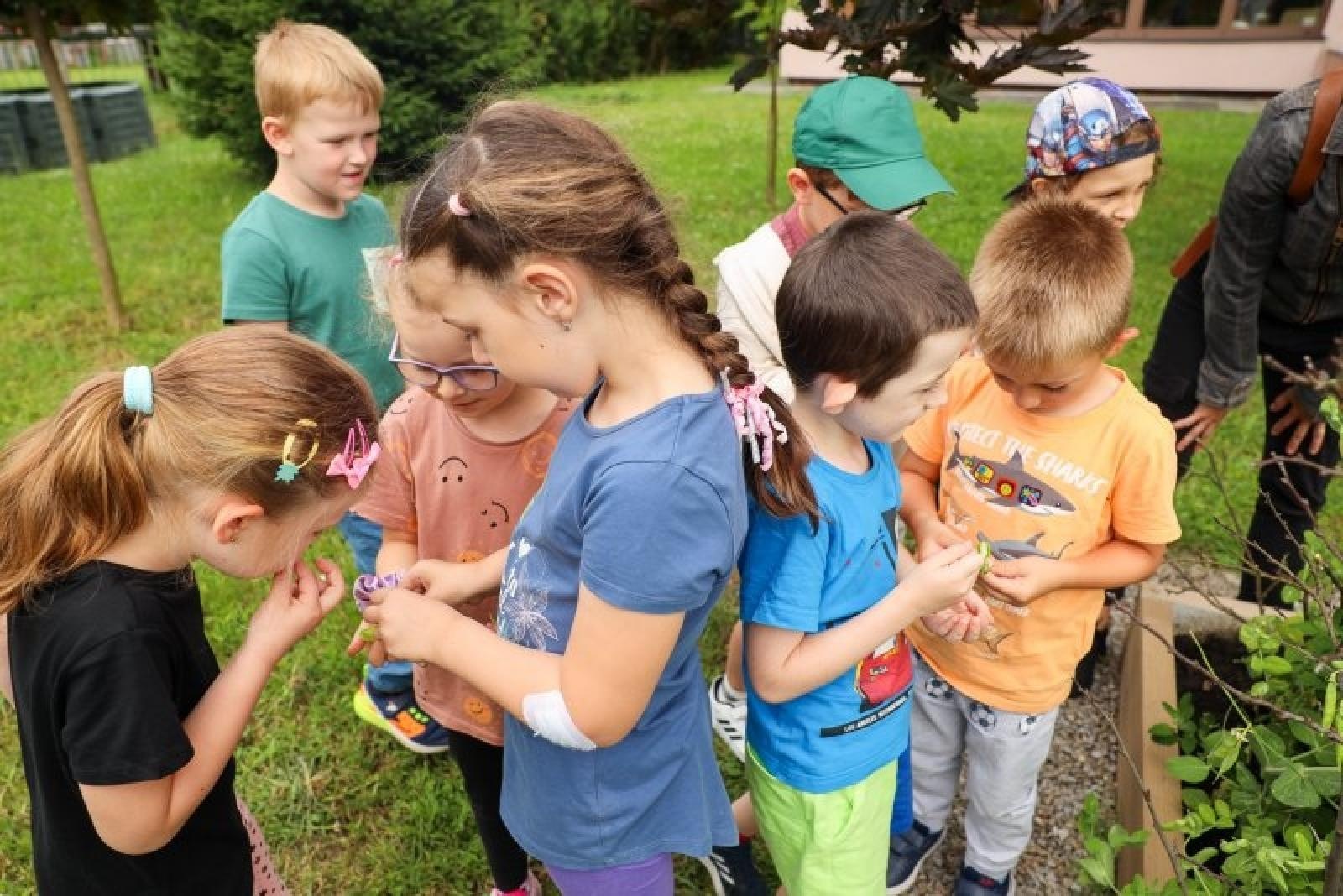 Zdjęcie w galerii na portalu naszraciborz.pl: Raciborskie przedszkolaki jedzą warzywa z własnego ogródka wiadomości z regionu