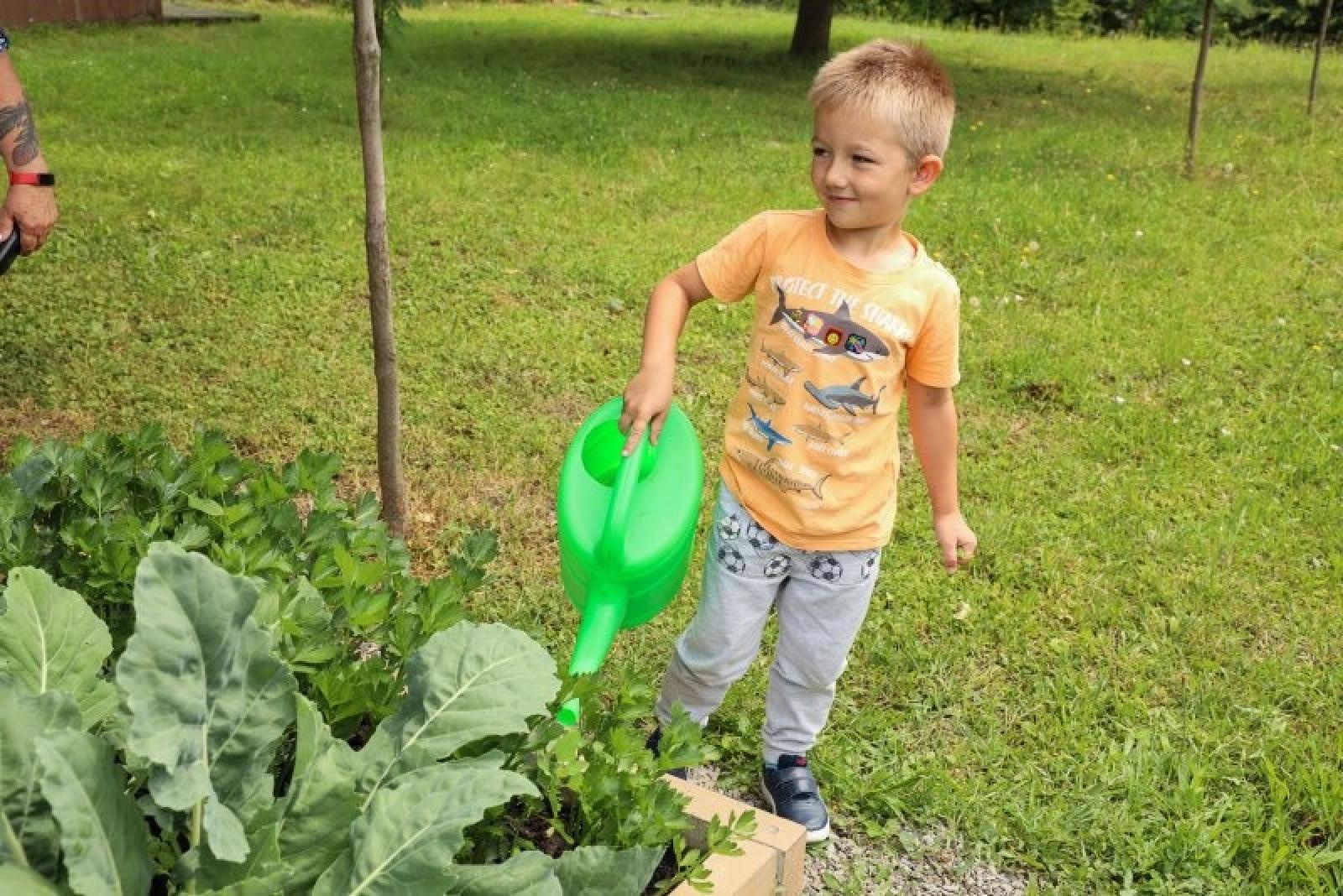 Zdjęcie w galerii na portalu naszraciborz.pl: Raciborskie przedszkolaki jedzą warzywa z własnego ogródka wiadomości z regionu