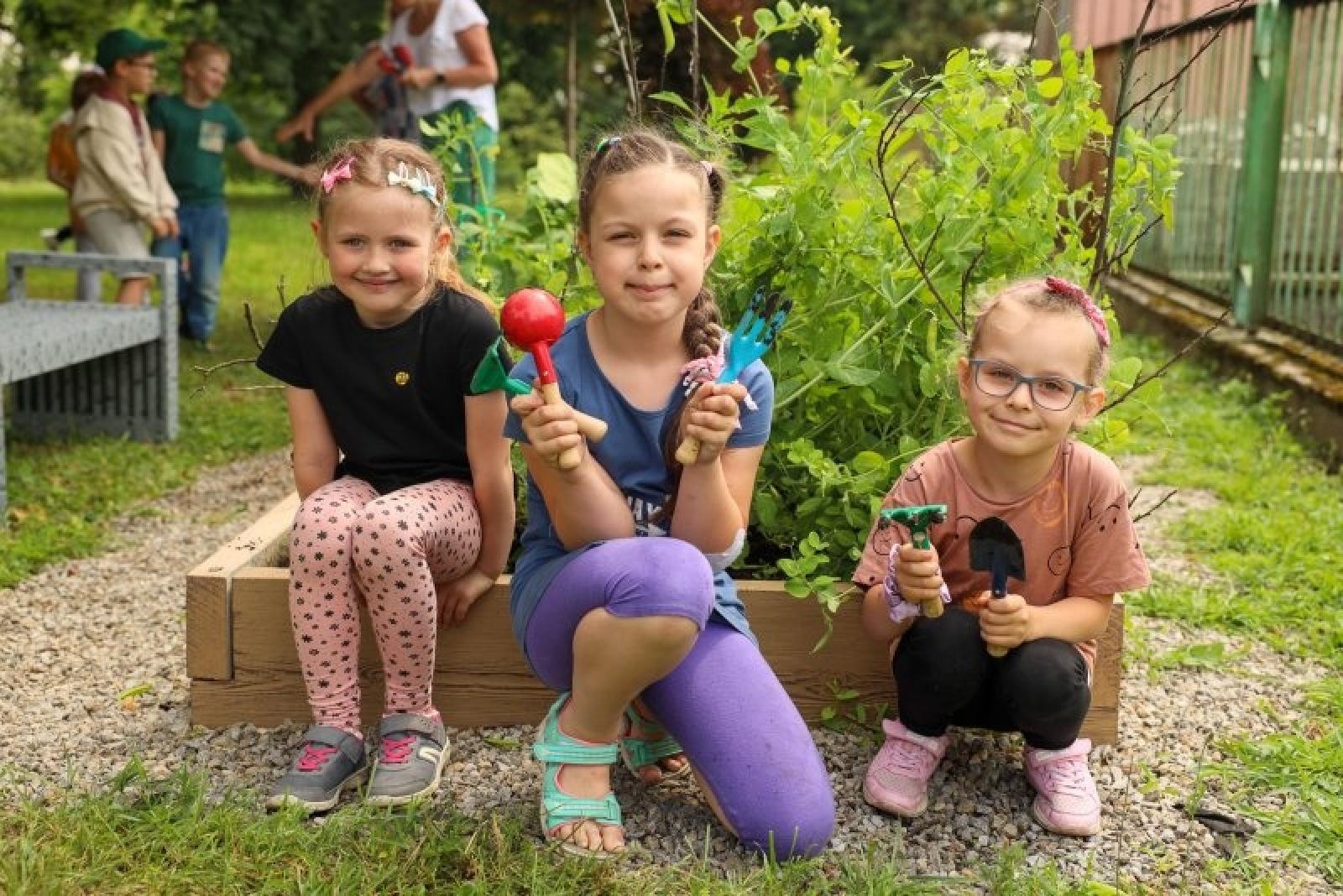 Zdjęcie w galerii na portalu naszraciborz.pl: Raciborskie przedszkolaki jedzą warzywa z własnego ogródka wiadomości z regionu