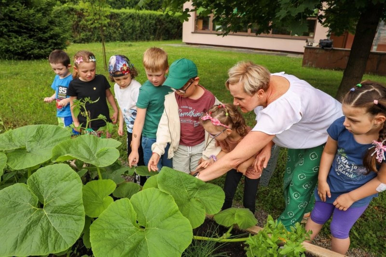 Zdjęcie w galerii na portalu naszraciborz.pl: Raciborskie przedszkolaki jedzą warzywa z własnego ogródka wiadomości z regionu