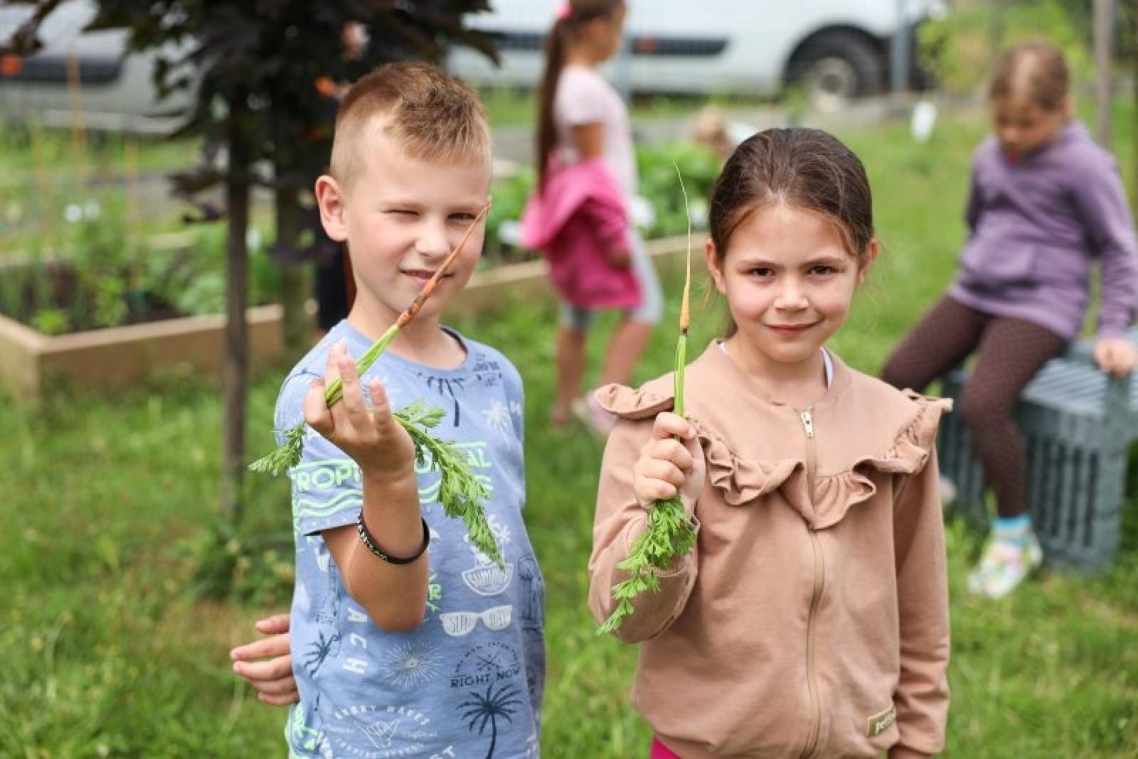 Zdjęcie w galerii na portalu naszraciborz.pl: Raciborskie przedszkolaki jedzą warzywa z własnego ogródka wiadomości z regionu