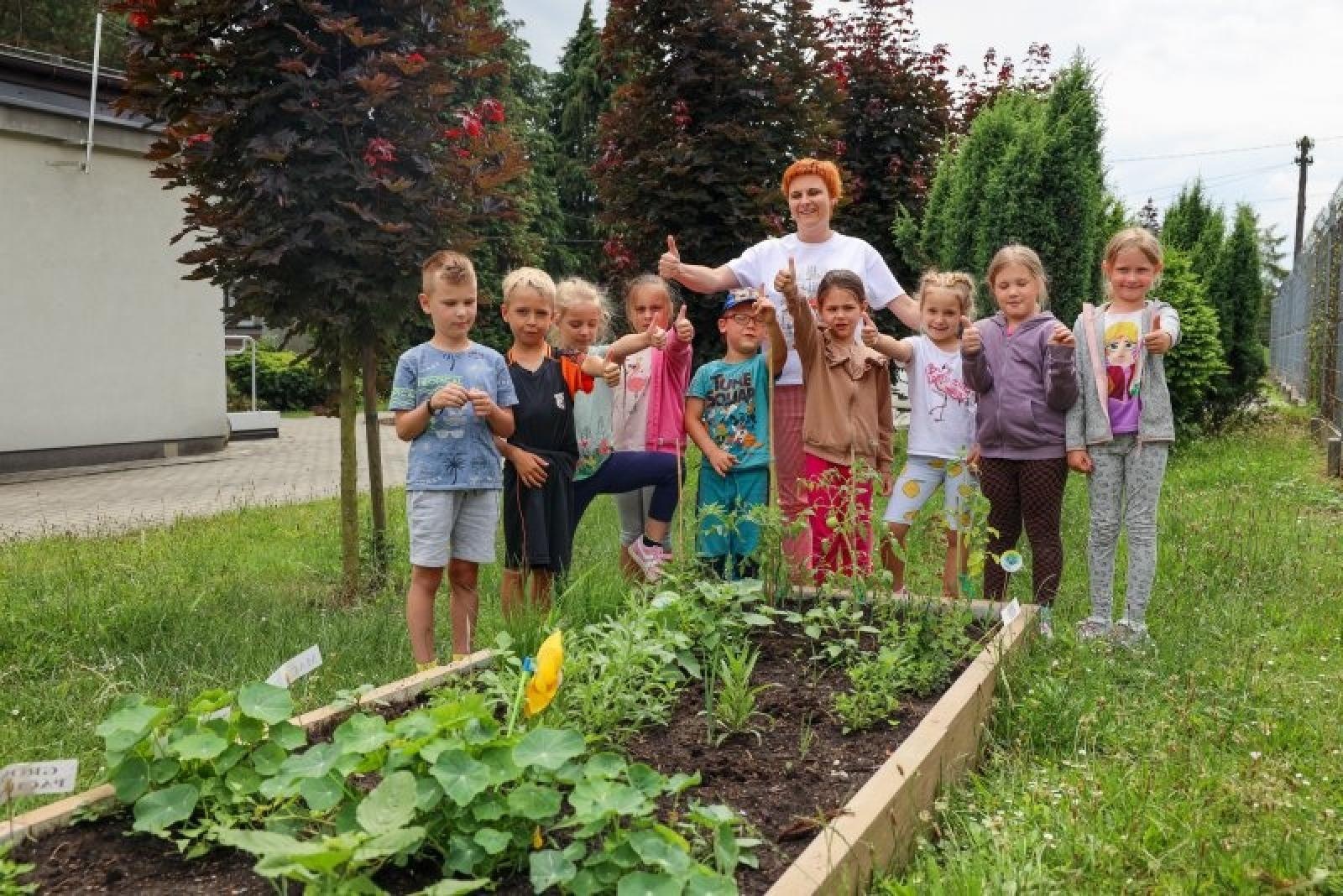 Zdjęcie w galerii na portalu naszraciborz.pl: Raciborskie przedszkolaki jedzą warzywa z własnego ogródka wiadomości z regionu
