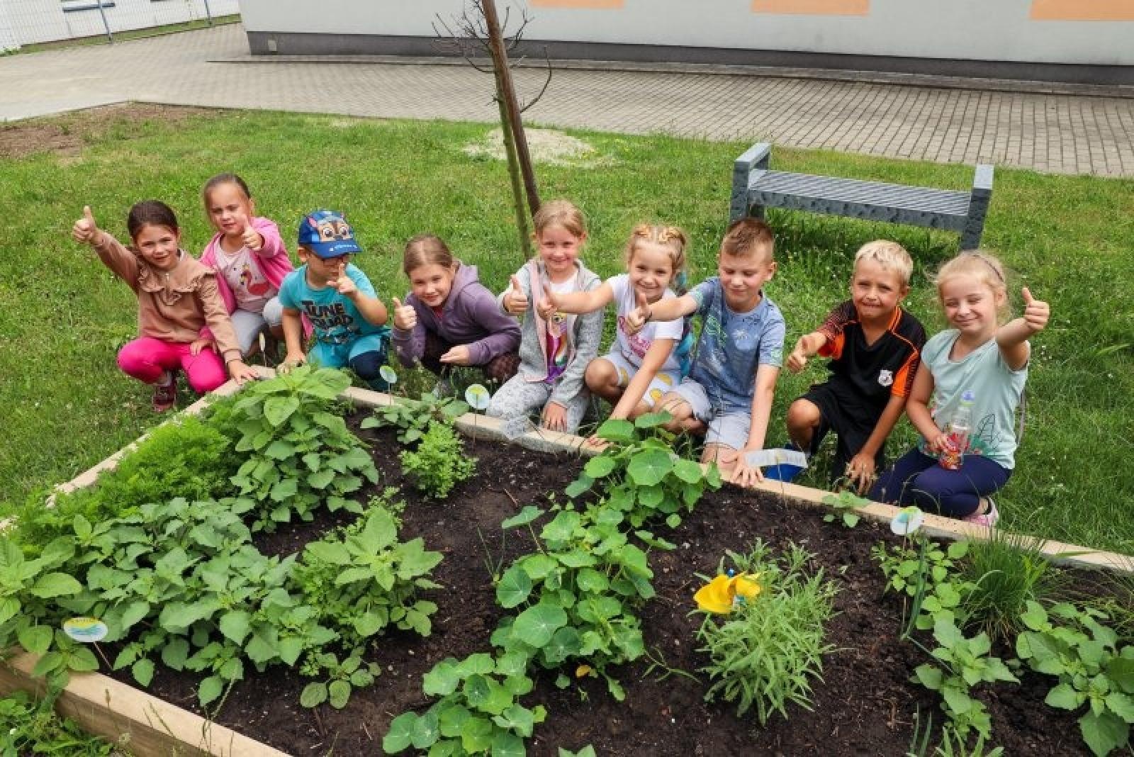 Zdjęcie w galerii na portalu naszraciborz.pl: Raciborskie przedszkolaki jedzą warzywa z własnego ogródka wiadomości z regionu