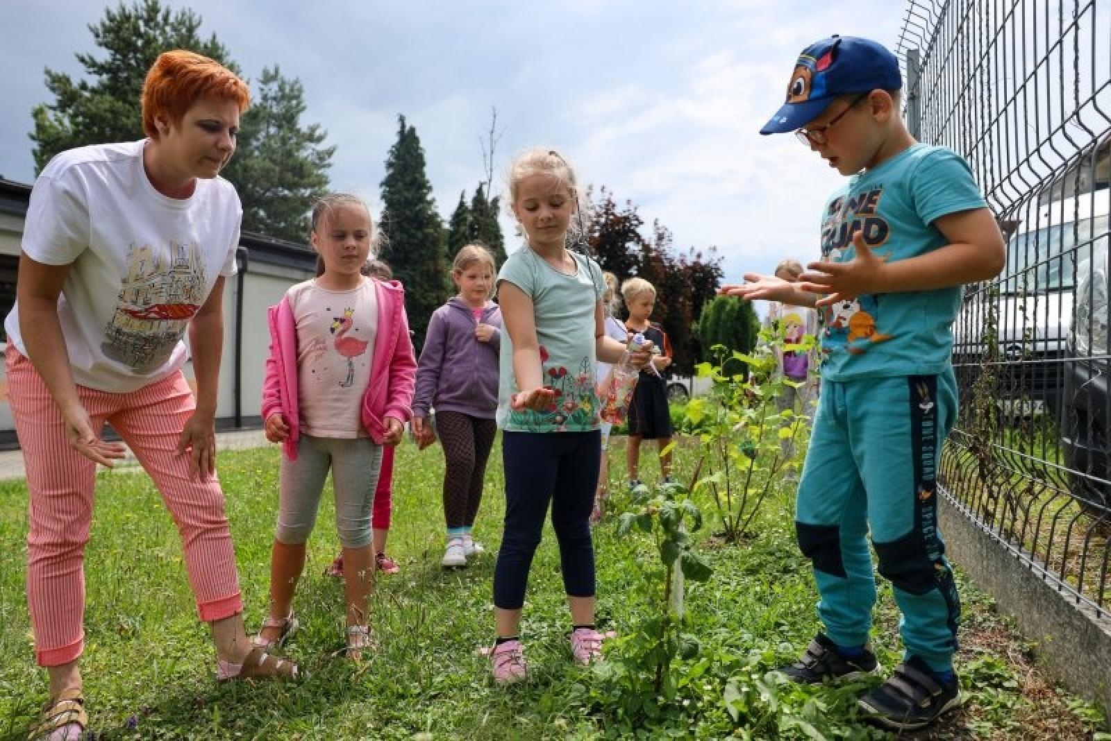 Zdjęcie w galerii na portalu naszraciborz.pl: Raciborskie przedszkolaki jedzą warzywa z własnego ogródka wiadomości z regionu