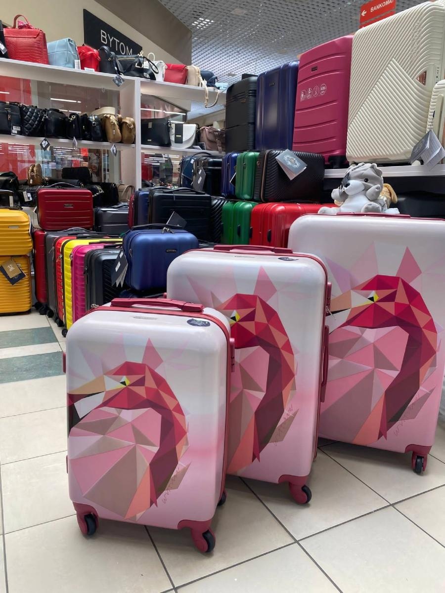 Zdjęcie w galerii na portalu naszraciborz.pl: WITTCHEN w dużym wyborze w Auchan w Raciborzu [FOTO] wiadomości z regionu