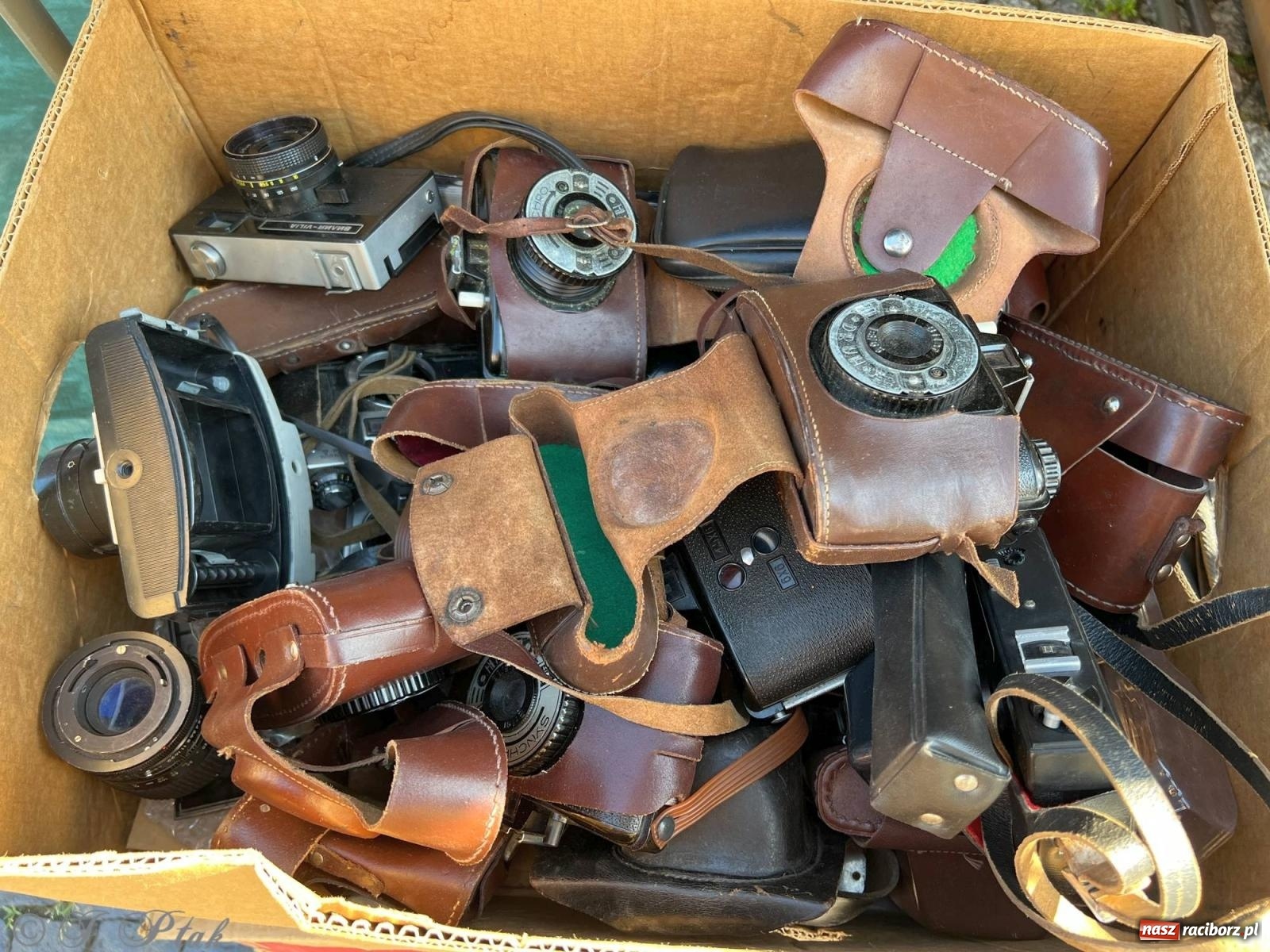 Zdjęcie w galerii na portalu naszraciborz.pl: Lipcowy targ staroci w Raciborzu wiadomości z regionu